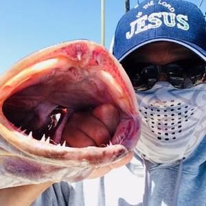 Meet your Posher, Ken